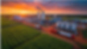 ICUMSA 45 sugar manufacturers in Brazil: how importers secure reliable supply