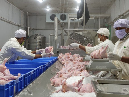 frozen chicken suppliers