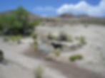 tresspass breeding pool 4