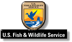 us fish game 2.gif