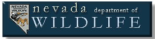 nv_fish_game_logo2.gif