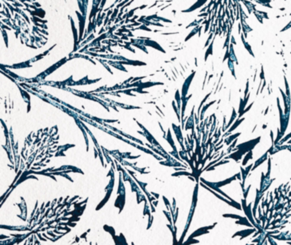 Sea Holly Close Up. © 2025 Seashells and Lavender.