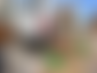 OS 10 PRODUTOS MAIS ÚTEIS EM UM MOTORHOME