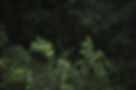 tumblr_5aec92b8eaf82ca81180594f3a05032c_9461e2bd_2048.jpg