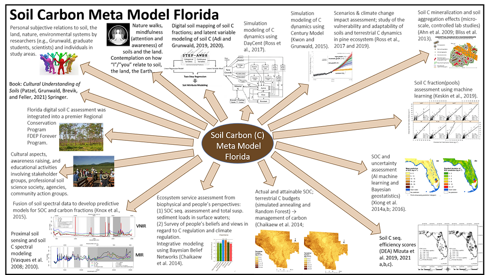 Soil carbon meta model FL 2.png