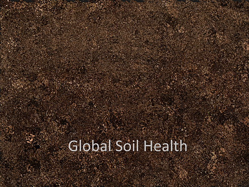 global soil health4.png