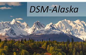 DSM Alaska.png