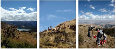 Andes 2.jpg