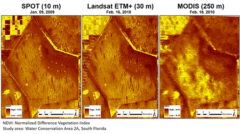 Remote sensing.png