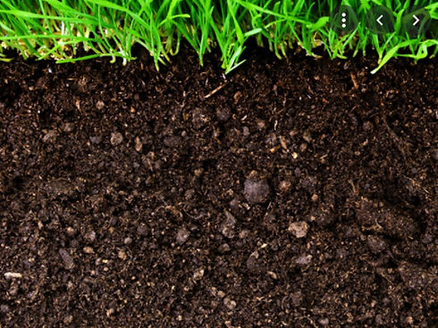 soil carbon - big.jpg