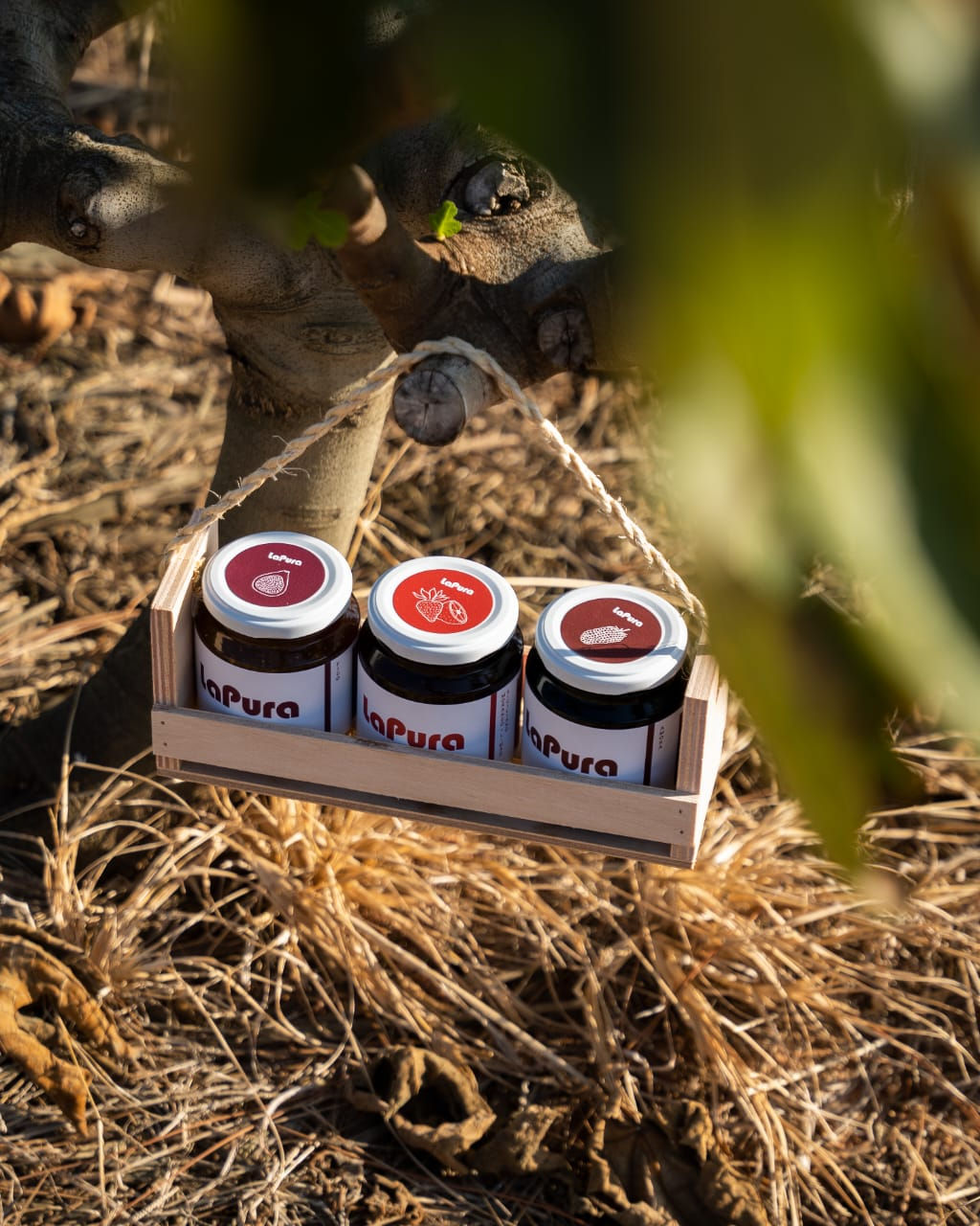 Kit Presente 3 unidades