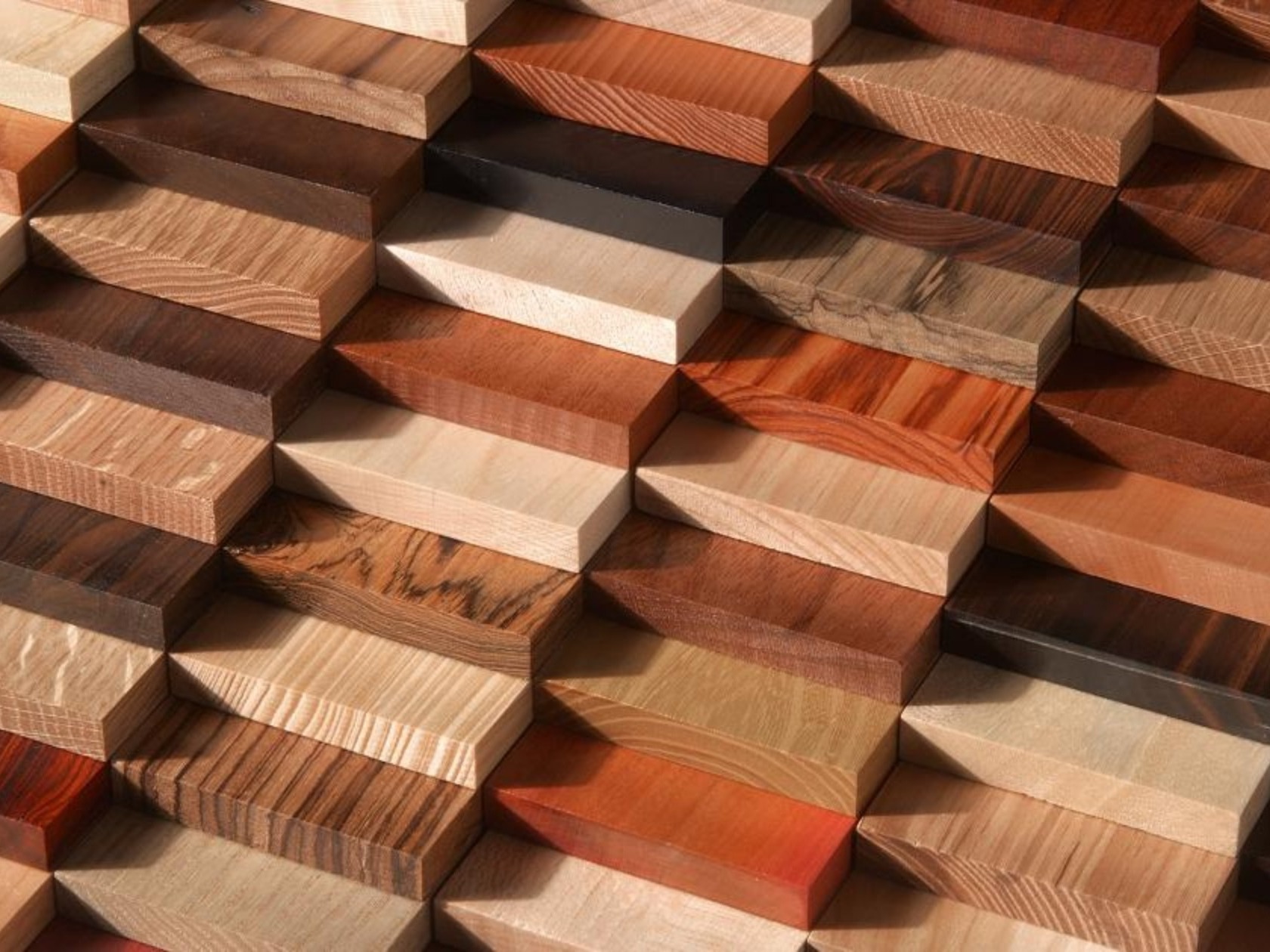 Exotic Wood Species (1)_edited_edited_edited.jpg