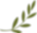 olivebranch.png