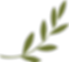 olivebranch.png