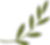 olivebranch.png