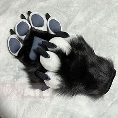 Tesh_Paws_edited.jpg