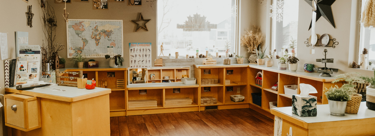 Little Star 5493.jpg