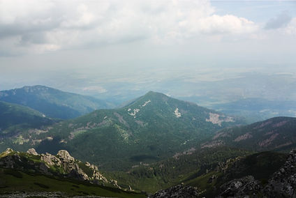 Screenshot_7.jpg