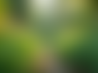 Tips for Sellers from Your BFF Agent