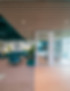 A creative office space with green and wood themes fitout