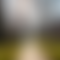 Navigating the Real Estate Market in Northwest Chicago