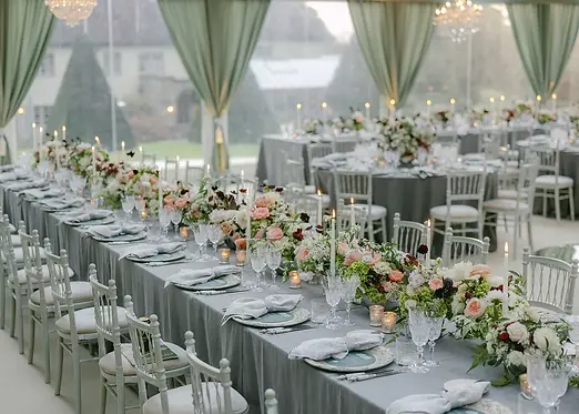 wedd.webp