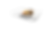 Service Tray .png