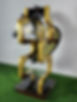 428619521_10211364161377667_3249073940897176610_n.jpg