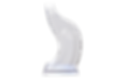Trophy_05-1024x689.png