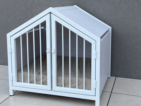 Zakaj je pasji boks najboljša stvar za vašega psa?