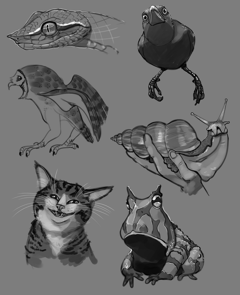 Animal Studies