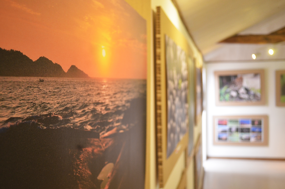 Exposições