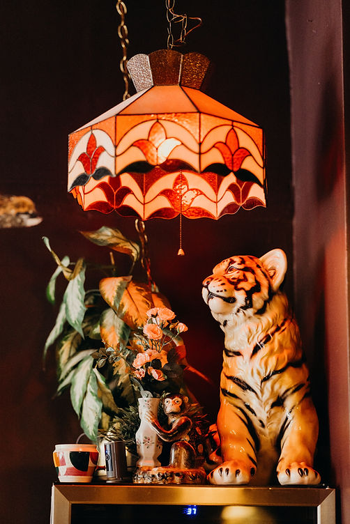 EASYTIGER-11.jpg