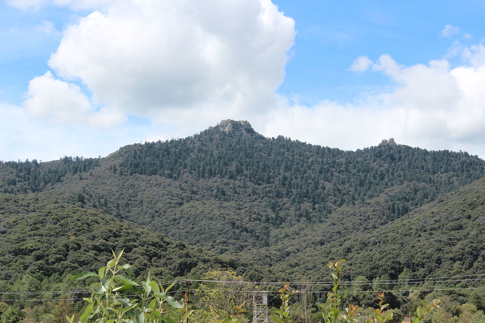 Cerro Del Zumate