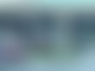 Encampment Clean-Out in the Stemmons Corridor: City Support in Action