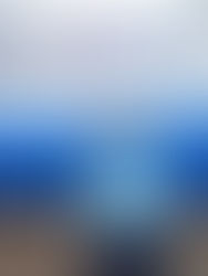 October Employee Spotlight