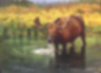 ThirstyMoose.jpeg