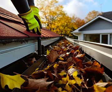 dirty gutters on a house
