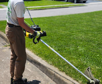 lawn trimming