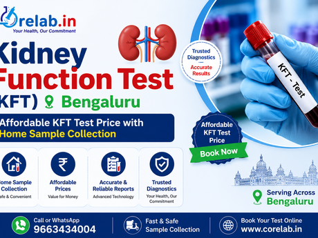 Kidney Function Test (KFT) in Bengaluru – Affordable KFT Test Price with Home Sample Collection