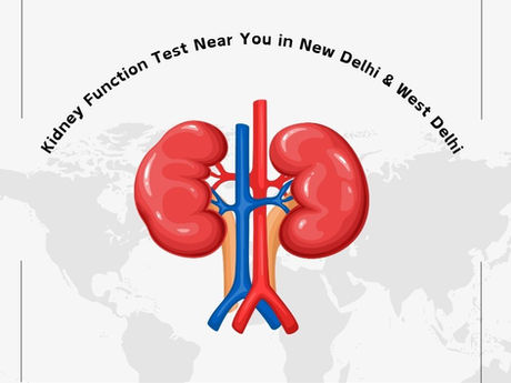 Kidney Function Test Near You in New Delhi & West Delhi – Types, Preparation & Result Guide