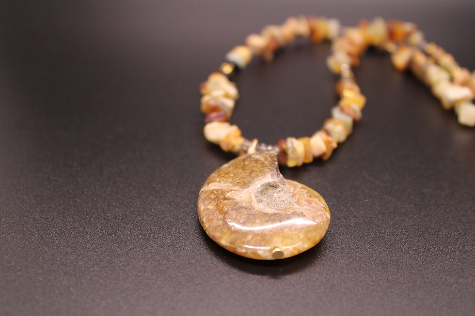 Thumbnail: Amber  20” necklace with Ammonite Nautilus Fossil