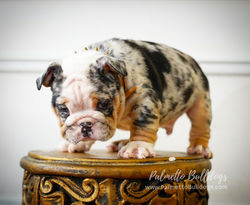 Watermark_1597186912328