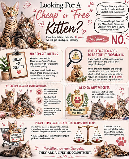 Palmetto State Cattery Pricing.jpg