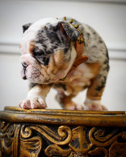 IMG_20200307_220739_029