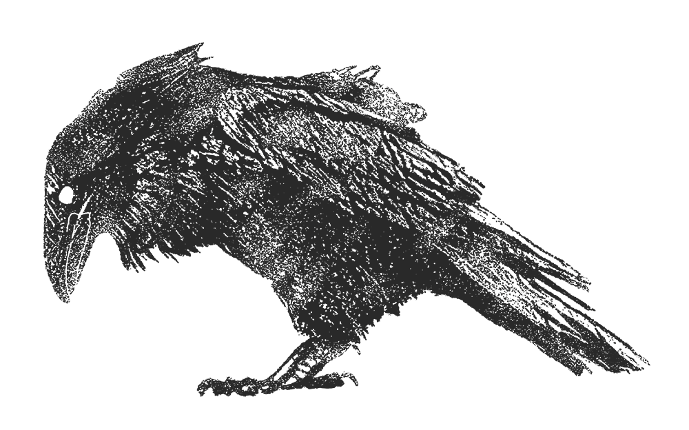 WildWay Farm Co Logo