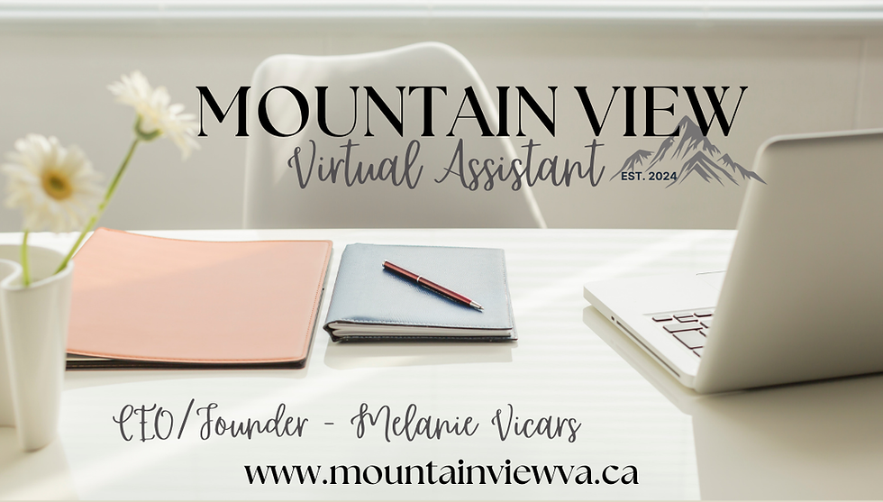 MVVA BANNER Sept 2024 (3).png