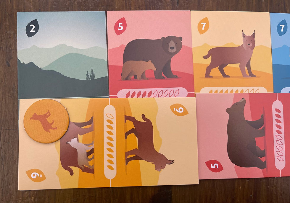 Just Wild Card Game Review