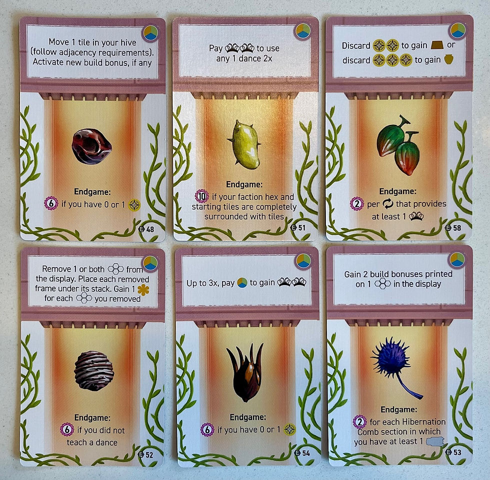 Apiary: Expanding The Hive Board Game Expansion Review