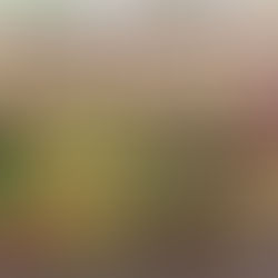 Viticulture: Bordeaux Expansion Review